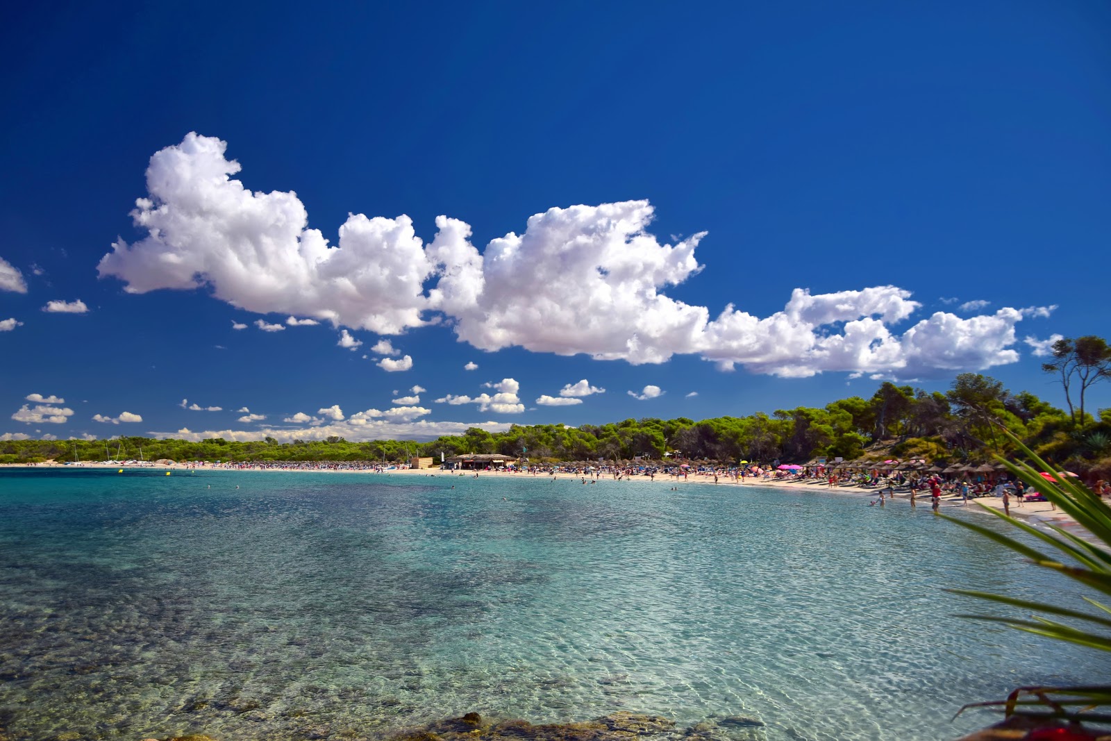 Foto von Moli de s'Estany Strand mit feiner beiger sand Oberfläche