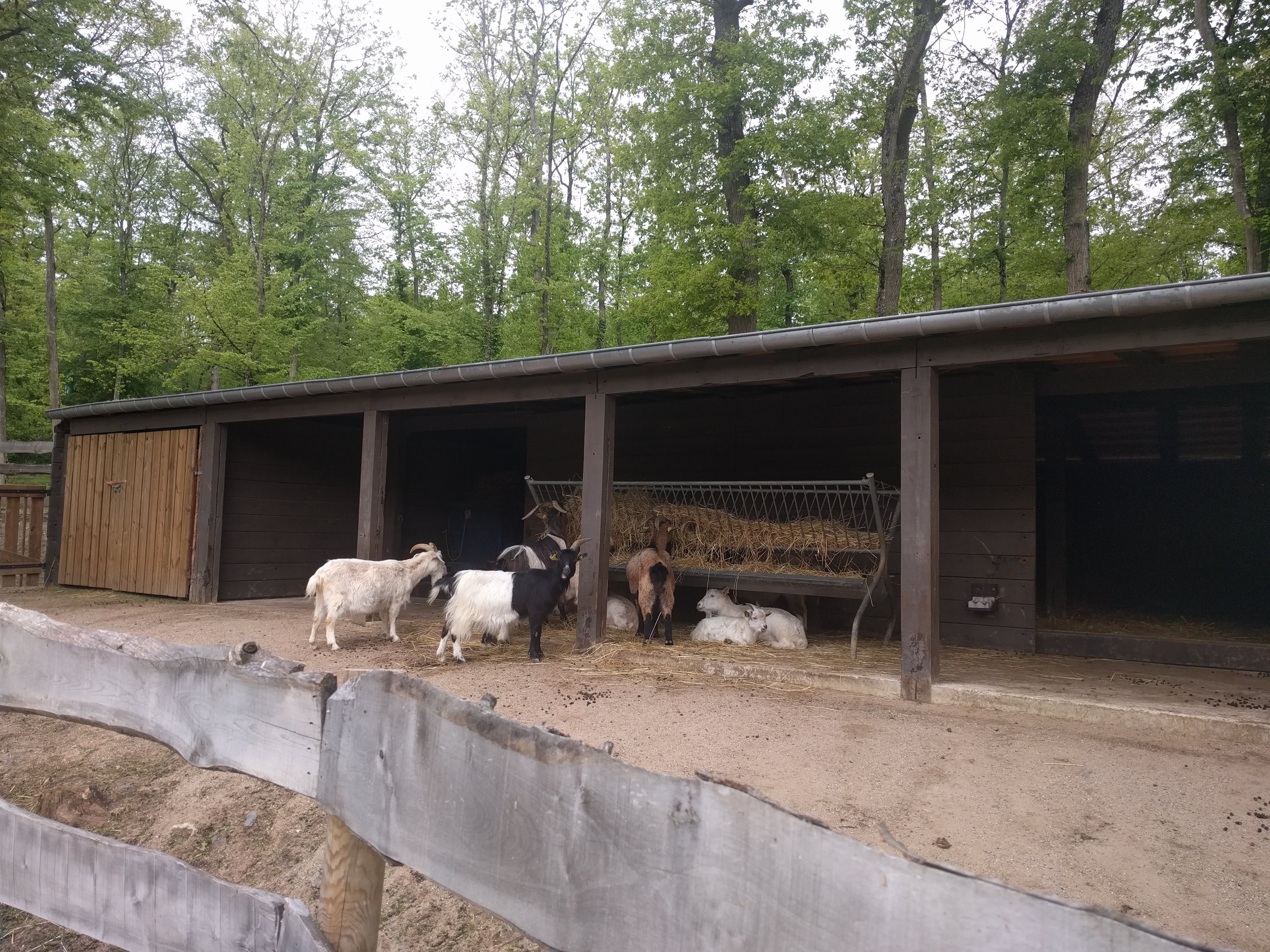 Photo n° 3 de l'avis de Maryse.e fait le 07/05/2018 à 10:27