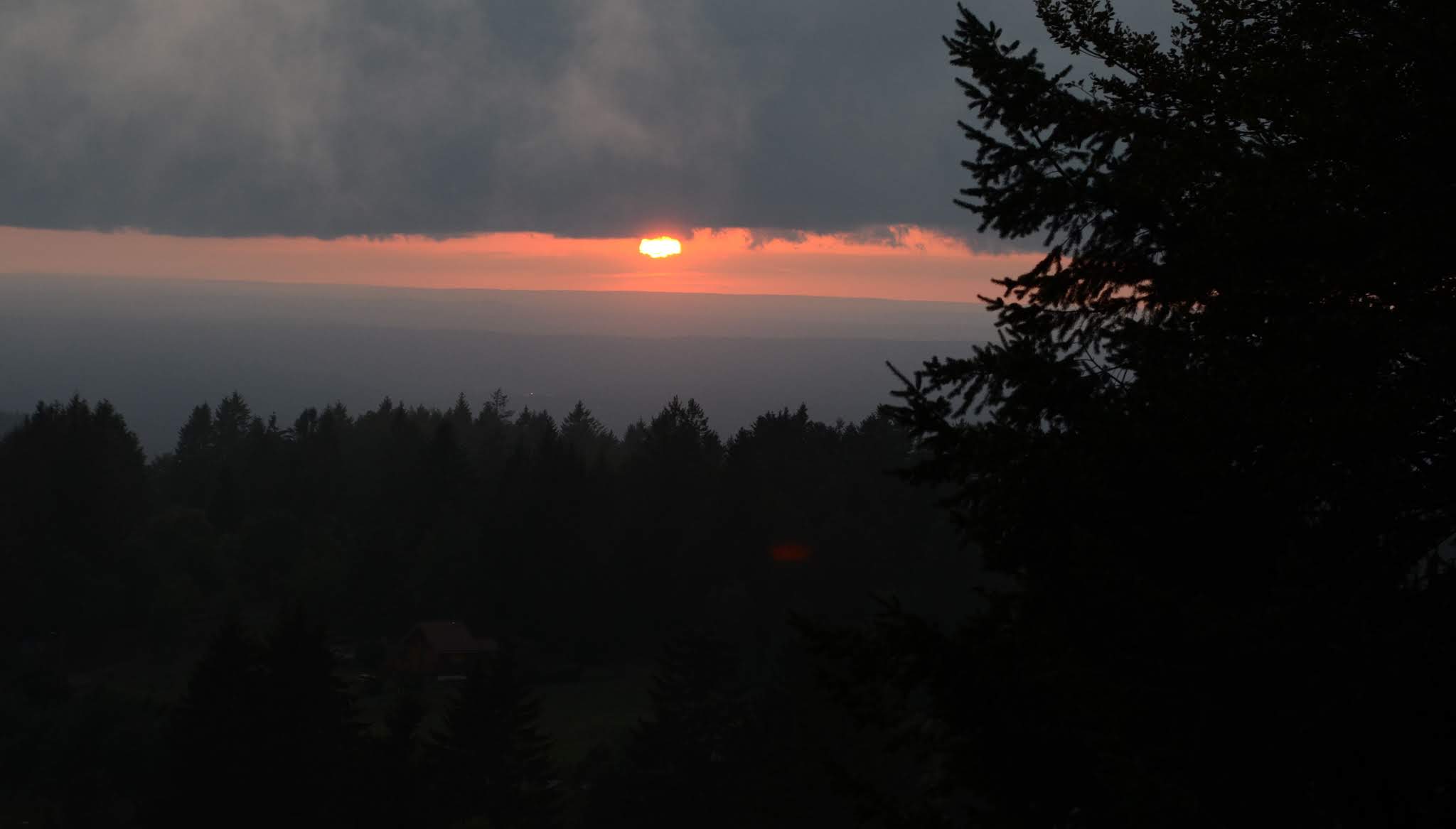 Photo n° 11 de l'avis de Olivier.i fait le 20/08/2019 à 19:23