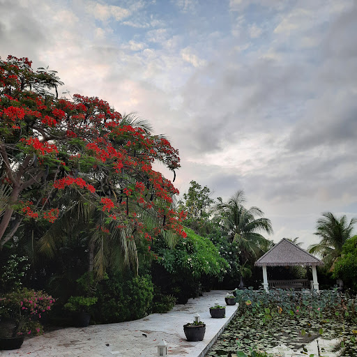 Top 20 chuyên preview cửa hàng Thành phố Phan Thiết Bình Thuận 2022