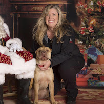 Romain Berg - Photo 8 - Car repair in Rochester, MN, Rochester