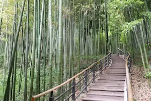 竹綠園 image