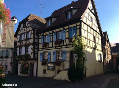 Les vignes d'Eguisheim à Eguisheim