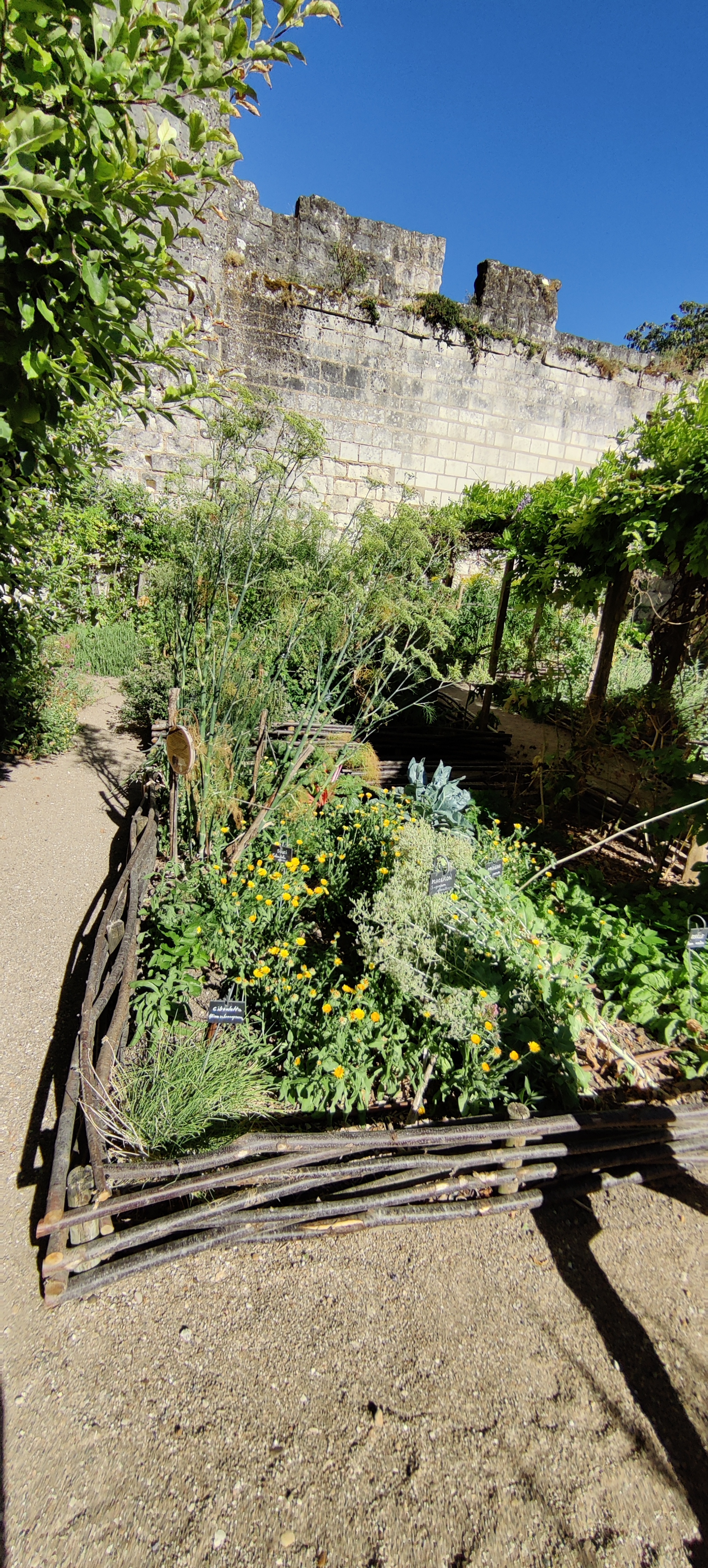 Photo n° 37 de l'avis de CHRISTIAN.A fait le 05/08/2022 à 19:13