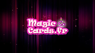 Magic-Cards.fr à Arzal