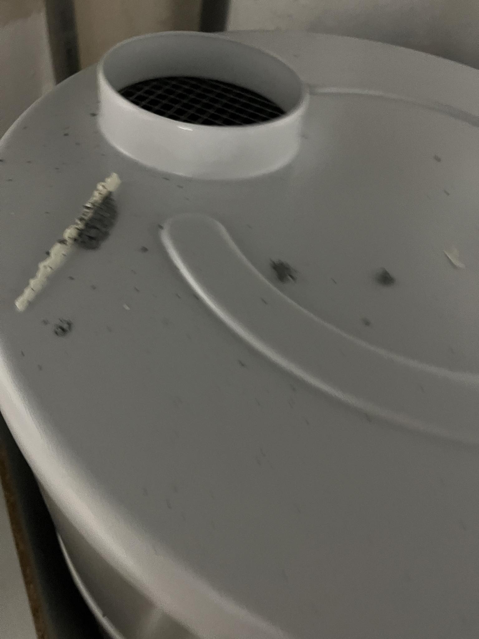Photo n° 14 de l'avis de Ludovic.a fait le 03/03/2024 à 20:36