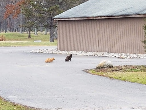 Public Golf Course «Eagles Nest Public Golf Course», reviews and photos, 1540 OH-28, Loveland, OH 45140, USA