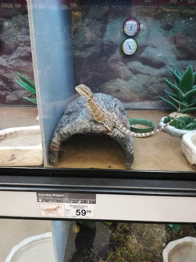 Pet Supply Store «PetSmart», reviews and photos, 8215 Laguna Blvd, Elk Grove, CA 95758, USA