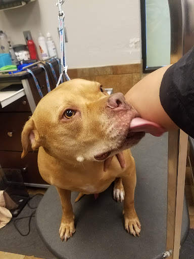 Pet Supply Store «PetSmart», reviews and photos, 5810 Antioch Rd, Merriam, KS 66202, USA