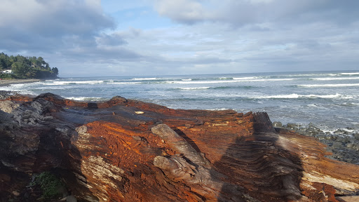 Golf Course «Seaside Golf Course», reviews and photos, 451 Avenue U, Seaside, OR 97138, USA