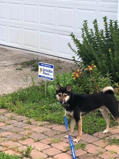 Fairview Invisible Fence