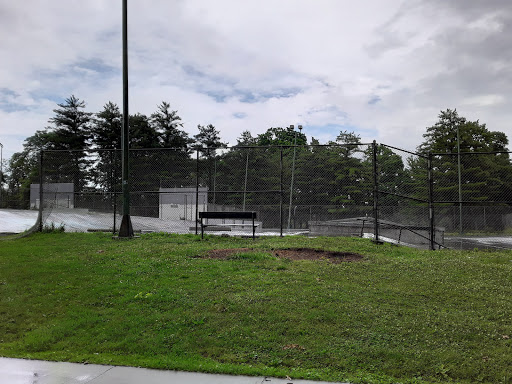 Albany Bluebanks Skatepark. image 7