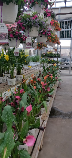 Garden Center «English Gardens», reviews and photos, 4901 Coolidge Hwy, Royal Oak, MI 48073, USA