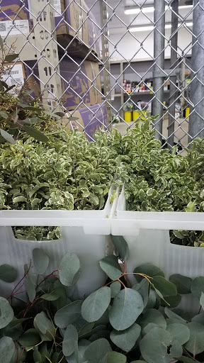 Florist «Nordlie Inc, - Detroit», reviews and photos, 25300 Guenther, Warren, MI 48091, USA