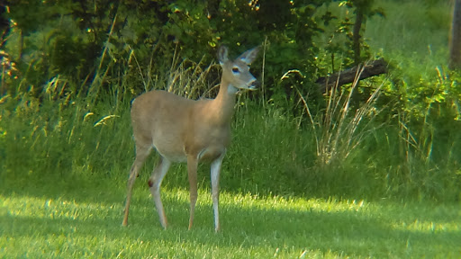 Public Golf Course «Mercer Oaks Golf Course», reviews and photos, 725 Village Rd W, West Windsor Township, NJ 08550, USA