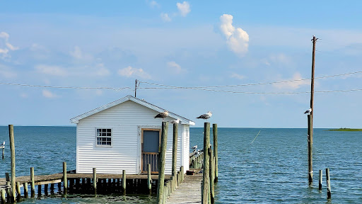 Cruise Agency «Tangier Island Cruises», reviews and photos, 1001 W Main St, Crisfield, MD 21817, USA
