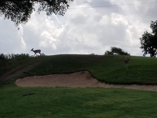 Public Golf Course «Landa Park Golf Course at Comal Springs», reviews and photos, 180 Golf Course Rd, New Braunfels, TX 78130, USA