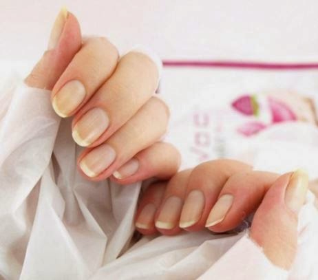 Monaco Nail Academy - Personal Trainer
