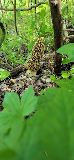 Produce Market «Christopher Farms», reviews and photos, 2266 Crymes Cove Rd, Waynesville, NC 28786, USA