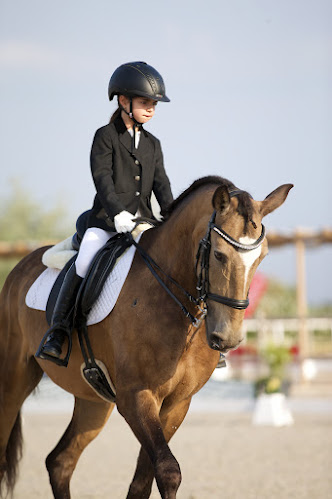 Avaliações doCEIA Dressage Center em Alcobaça - Escola