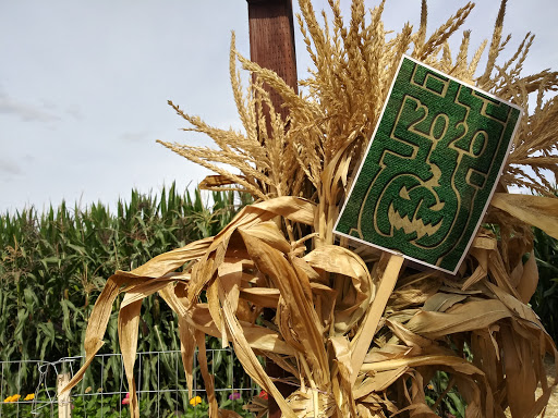 Pumpkin Patch «Spina Farms», reviews and photos, Santa Teresa Blvd, Morgan Hill, CA 95037, USA