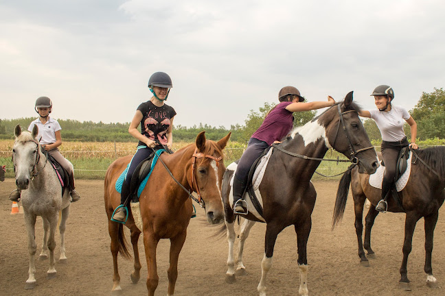 Csoba Ranch - Szórakozóhely