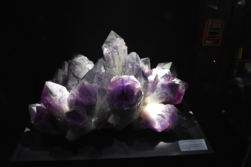 Natural History Museum «Yale Peabody Museum of Natural History», reviews and photos, 170 Whitney Ave, New Haven, CT 06511, USA