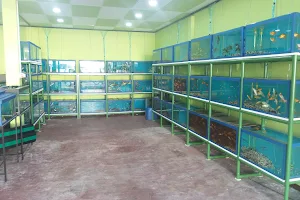 Miriyam Aquarium image