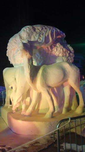 Liquor Store «Summit Wine & Liquor», reviews and photos, 110 South Park Avenue, Breckenridge, CO 80424, USA