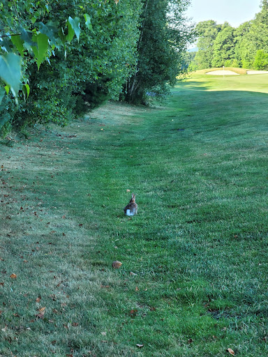 Golf Course «Berkshire Valley Golf Course», reviews and photos, 28 Cozy Lake Rd, Oak Ridge, NJ 07438, USA