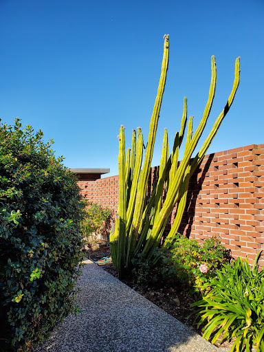 California State University, East Bay image