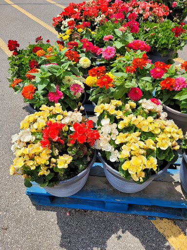 Home Improvement Store «The Home Depot», reviews and photos, 2600 S Lapeer Rd, Lake Orion, MI 48360, USA