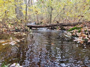 Wrentham State Forest - photo 28