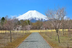 Fuji Walking Park image