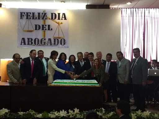 Abogados especialistas en derecho de familia en Toluca de Lerdo