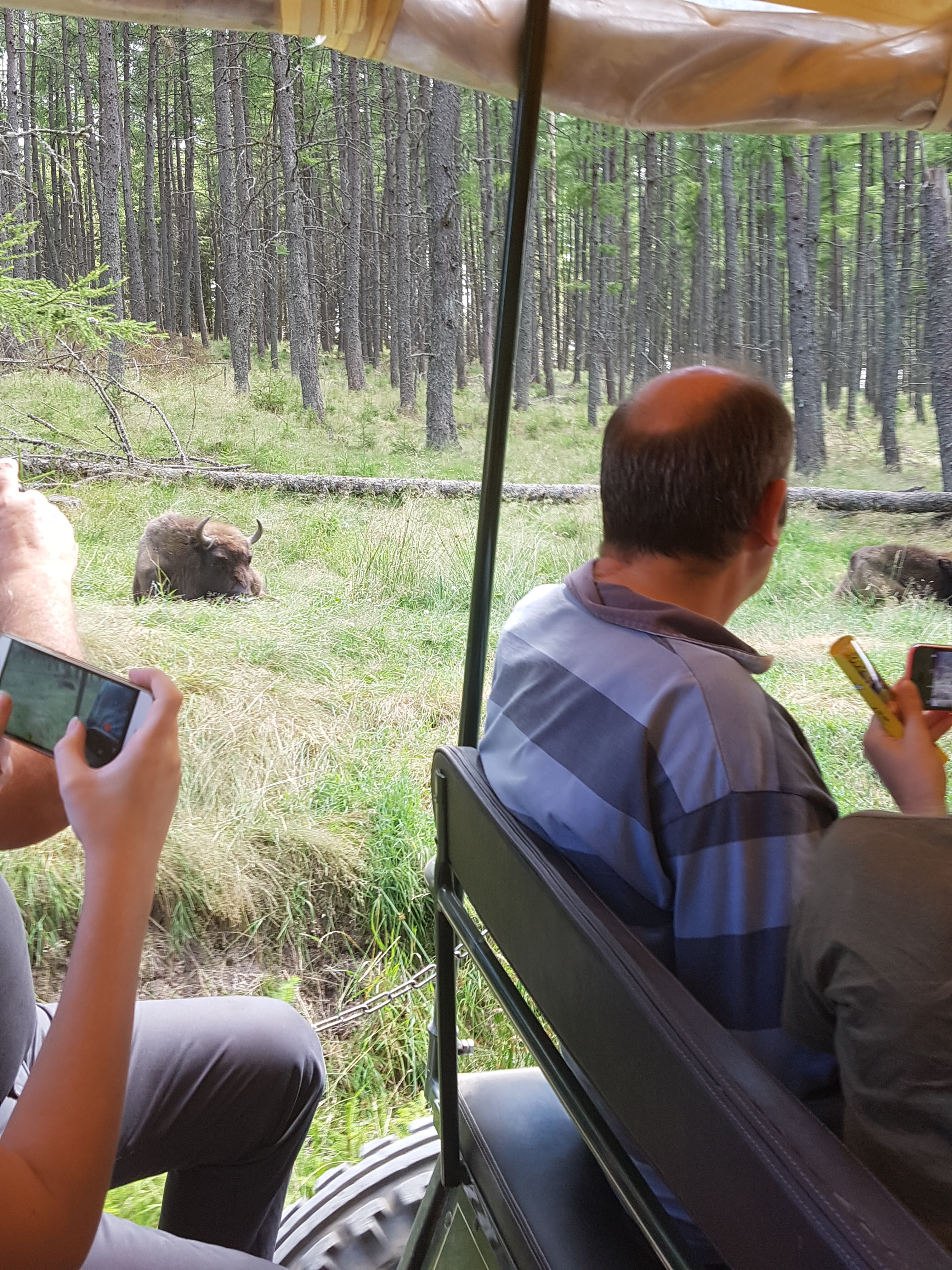 Photo n° 7 de l'avis de Mick.u fait le 26/07/2018 à 19:41
