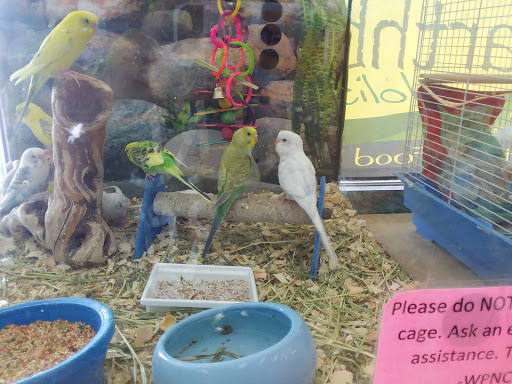 Pet Store «Wet Pets N Critters», reviews and photos, 103 TX-281 Loop, Longview, TX 75605, USA