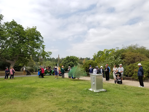 Los Angeles County Arboretum image