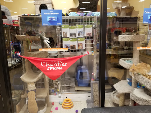 Pet Supply Store «PetSmart», reviews and photos, 60 NJ-17, Paramus, NJ 07652, USA