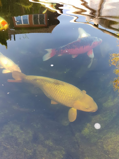 Koi World GmbH