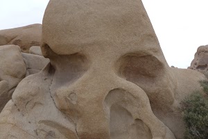 Arch Rock - photo 77