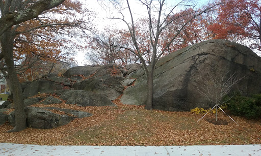 Park «Horatio Harris Park», reviews and photos, 85 Harold St, Boston, MA 02119, USA