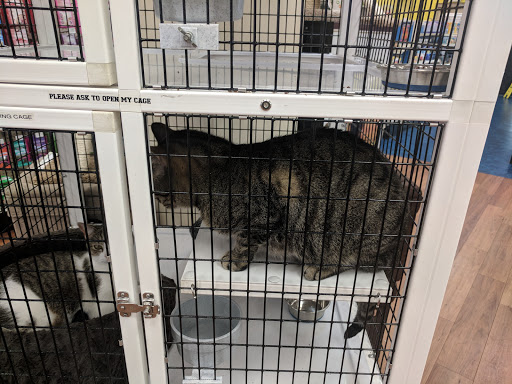 Pet Supply Store «Pet Supermarket», reviews and photos, 2449 S Hiawassee Rd, Orlando, FL 32835, USA