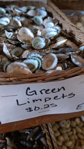 Gift Shop «Sea Shell Shoppe», reviews and photos, 120 N Austin St, Rockport, TX 78382, USA