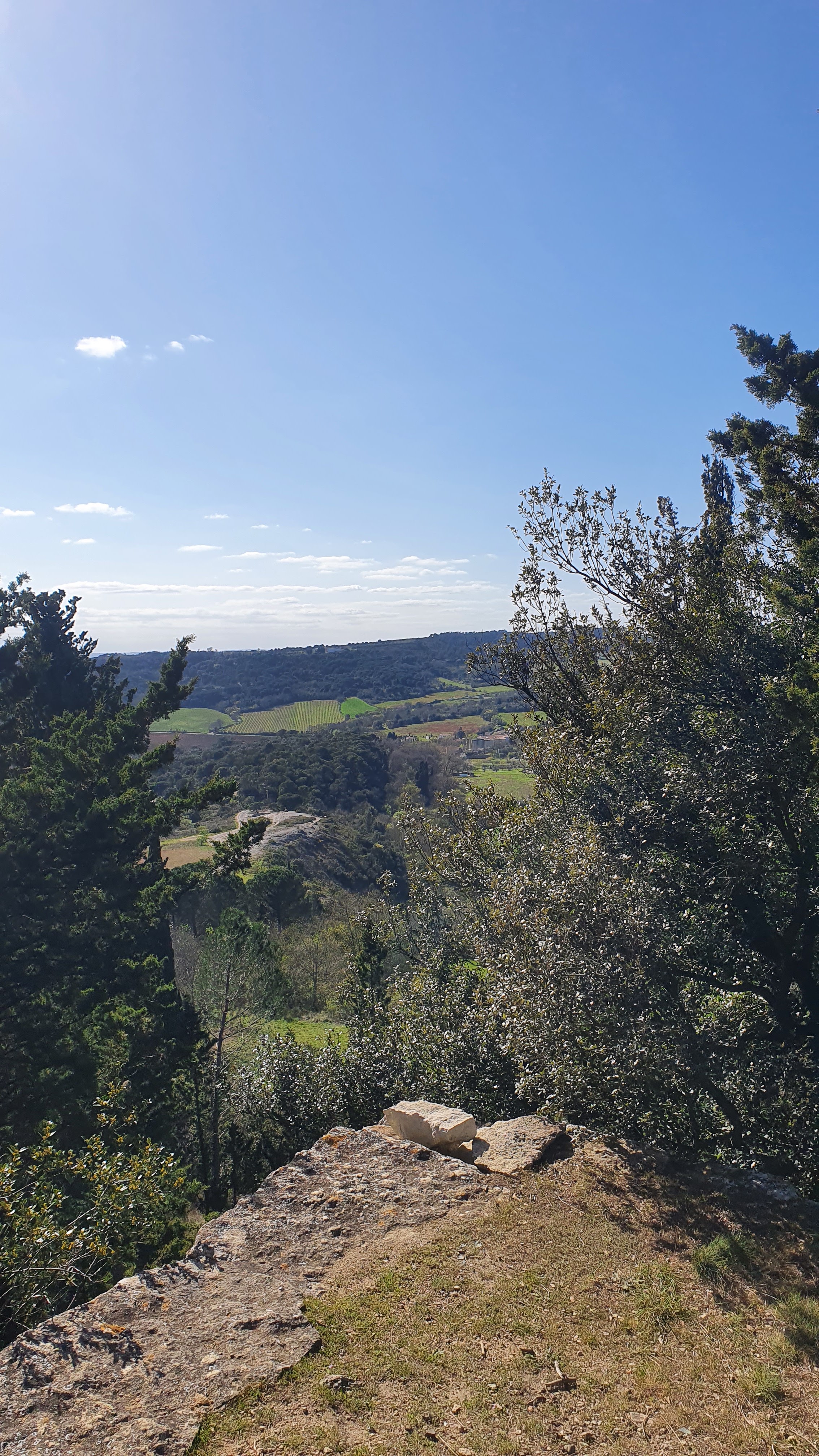 Photo n° 1 de l'avis de Lucile.. fait le 28/03/2021 à 17:02