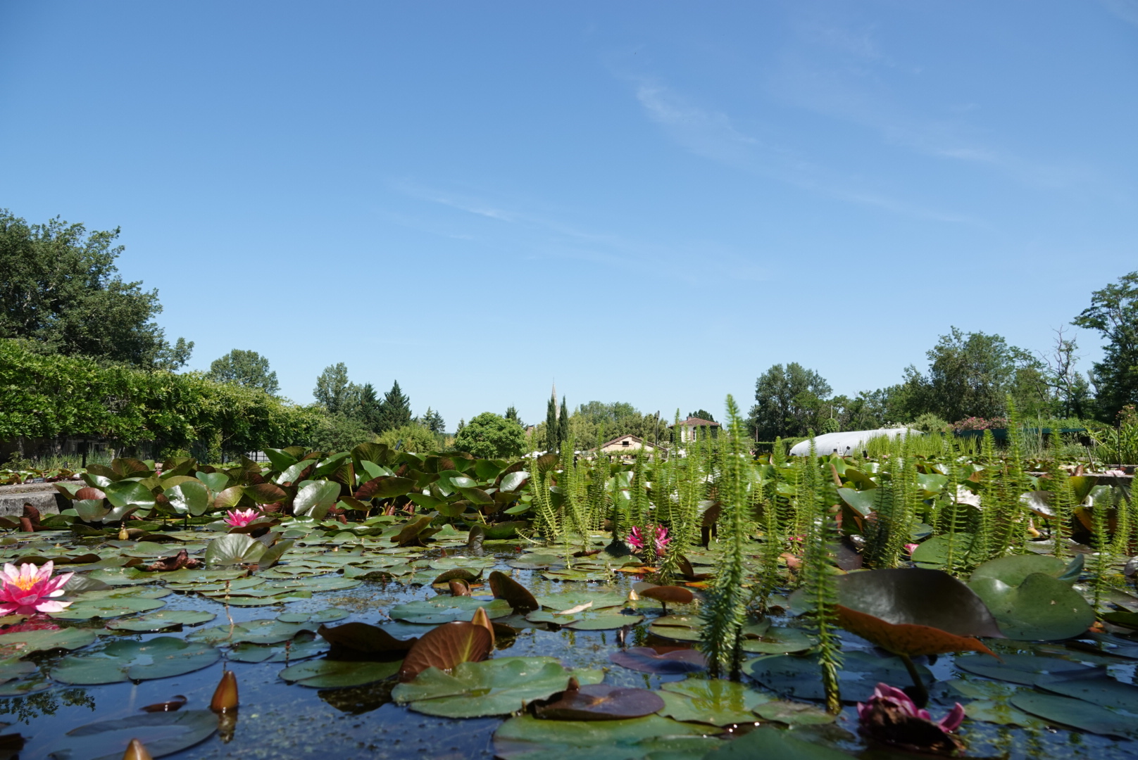 Photo n° 7 de l'avis de Anthony.o fait le 13/06/2021 à 14:25