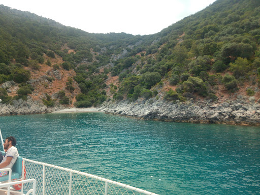 Dalya Tüplü Daliş Koyu