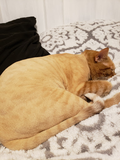 Pet Supply Store «Natural Pet Center», reviews and photos, 3037 13th Ave S, Fargo, ND 58103, USA