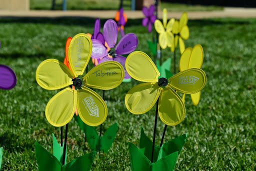 Photographer «Magical Productions LLC», reviews and photos, 4103 Browning Ave, Colorado Springs, CO 80910, USA