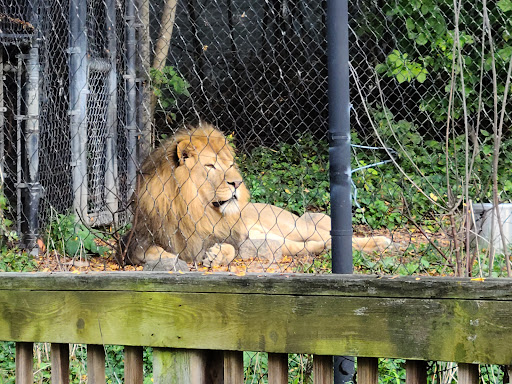 Zoo «Henry Vilas Zoo», reviews and photos, 702 S Randall Ave, Madison, WI 53715, USA